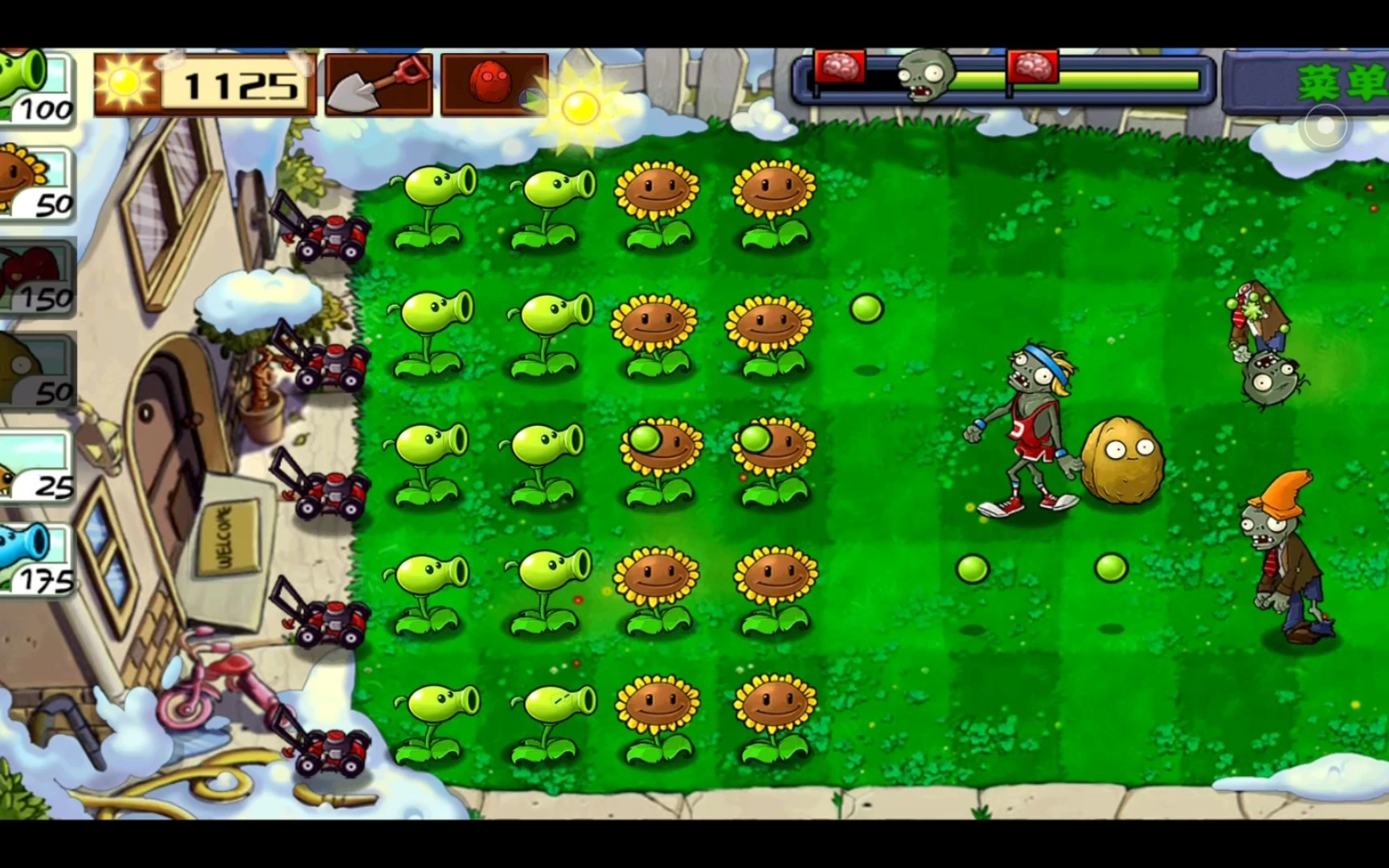 植物大战僵尸
